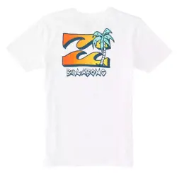 Billabong Abbzt00348 Bbtv Ss Beyaz Erkek Çocuk T-Shirt - 2