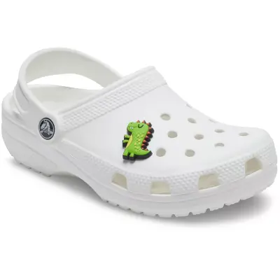 Crocs Jibbitz Charms 1 Adet Yeşil Unisex Trend - 1