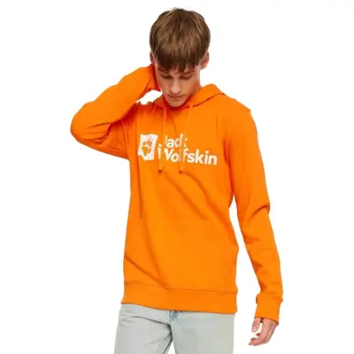 Jack Wolfskin 1000001Tr Arthur Hoody M Outdoor Erkek Sweatshirt 