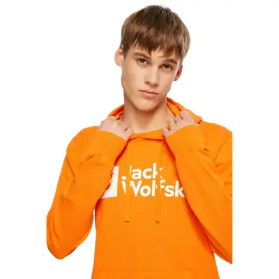 Jack Wolfskin 1000001Tr Arthur Hoody M Outdoor Erkek Sweatshirt - 2