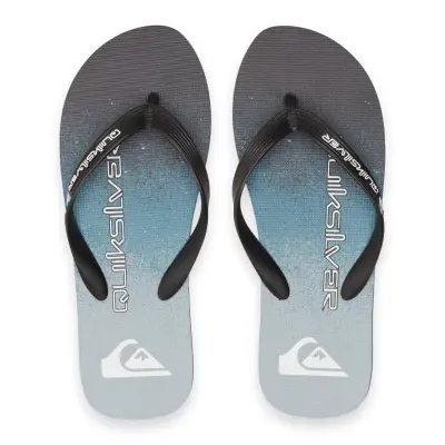 Quiksilver Aqyl101360M Molokai Artii Siyah-Mavi Erkek Terlik - 3