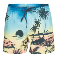 Quiksilver Eqyjv03999 Paradise 15 M Volley Gri Erkek Şort - 5