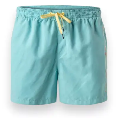 Quiksilver Eqyjv04061 Behind Waves Volley Açık Mavi Erkek Şort - 1