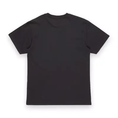 Quiksilver Eqyzt08042 Ev Mini Logo Ss Siyah Erkek T-Shirt - 5