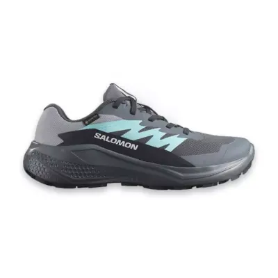 Salomon 478023 Alphaglide Gtx W Patika Koşusu Gri Kadın Spor Ayakkabı - 2