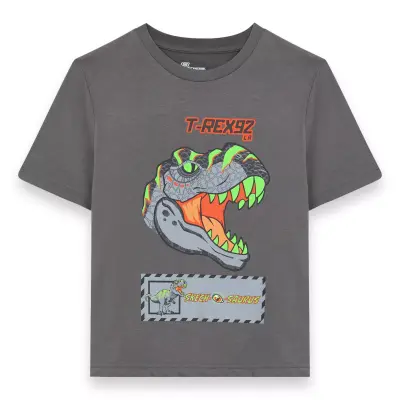 Skechers Sk241093 Graphic Tee B Sleeve Gri Erkek Çocuk T-Shirt 