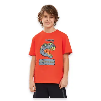 Skechers Sk241093 Graphic Tee B Sleeve Turuncu Erkek Çocuk T-Shirt 