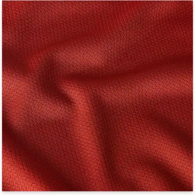 The North Face Nf0A2Waz M Tanken Polo Eu Kırmızı Erkek T-Shirt - 5