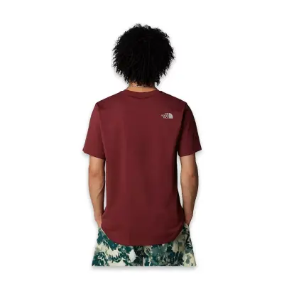 The North Face Nf0A8A6C M Ss Easy Tee Bordo Erkek T-Shirt - 2
