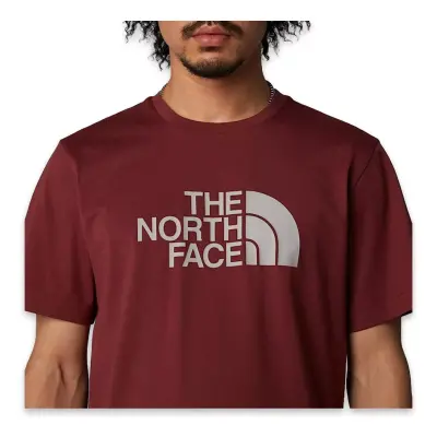 The North Face Nf0A8A6C M Ss Easy Tee Bordo Erkek T-Shirt - 3