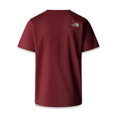 The North Face Nf0A8A6C M Ss Easy Tee Bordo Erkek T-Shirt - 5