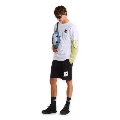 The North Face Nf0A8G9C M Evolution Box Half Dome Regular Beyaz Erkek T-Shirt - 5