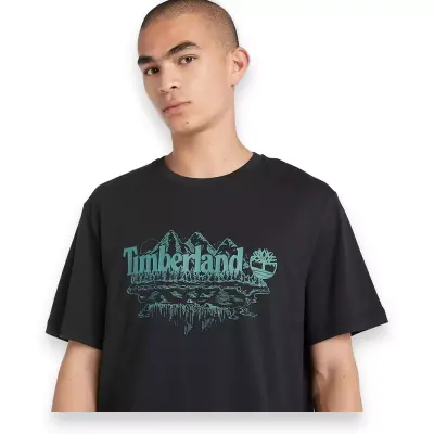 Timberland Tb0A5Ufu Sleeve Graphic Slub Siyah Erkek T-Shirt - 3