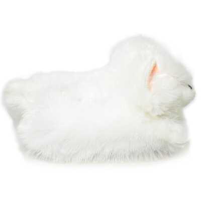 Twigy Yy0308 Z Tw Kedi-3 Beyaz Kadın Panduf - 3